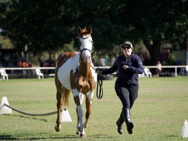 equestrian event at the Kununurra ag show 2026