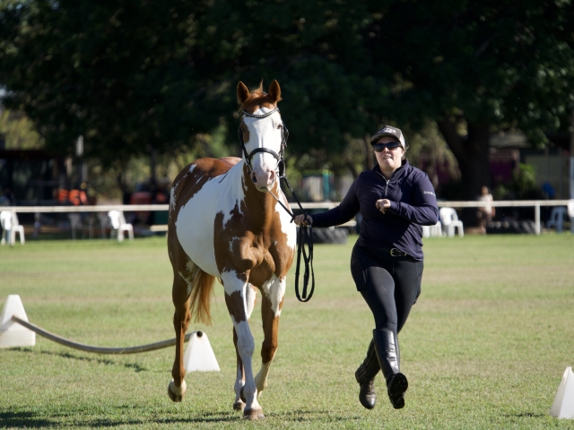equestrian event at the Kununurra ag show 2026