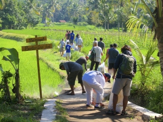 Rubbish clean up in the hills of Lombok