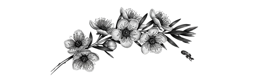 flowers transparent long