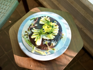 Helmeted honeybee Cake for Tea threatened species bake off 2026 helmeted honeyeater among the manna gum