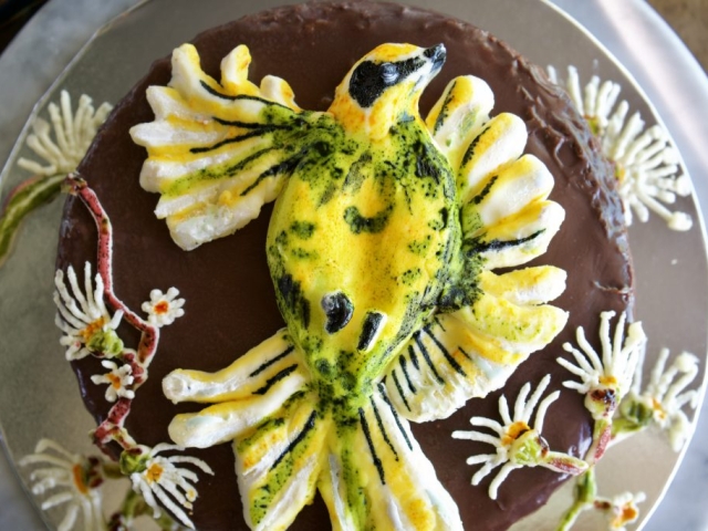 helmeted honeyeater cake